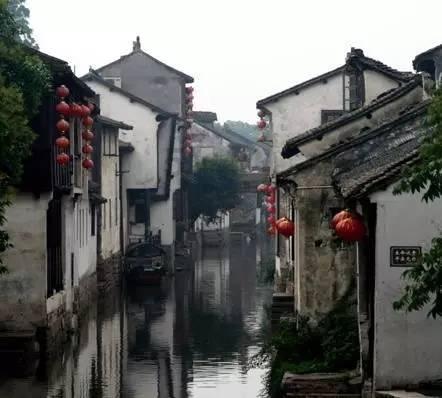 请问为什么韩国人天天吃泡菜,身体吃不坏反而越吃越好呢? - 专注分享与讨论的红迪网平台